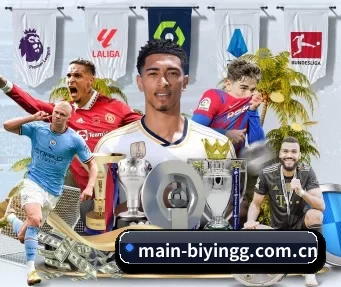 国际化进程 | BWIN