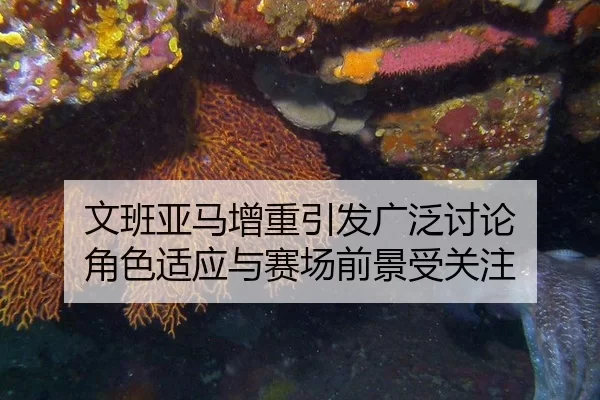文班亚马增重引发广泛讨论 角色适应与赛场前景受关注